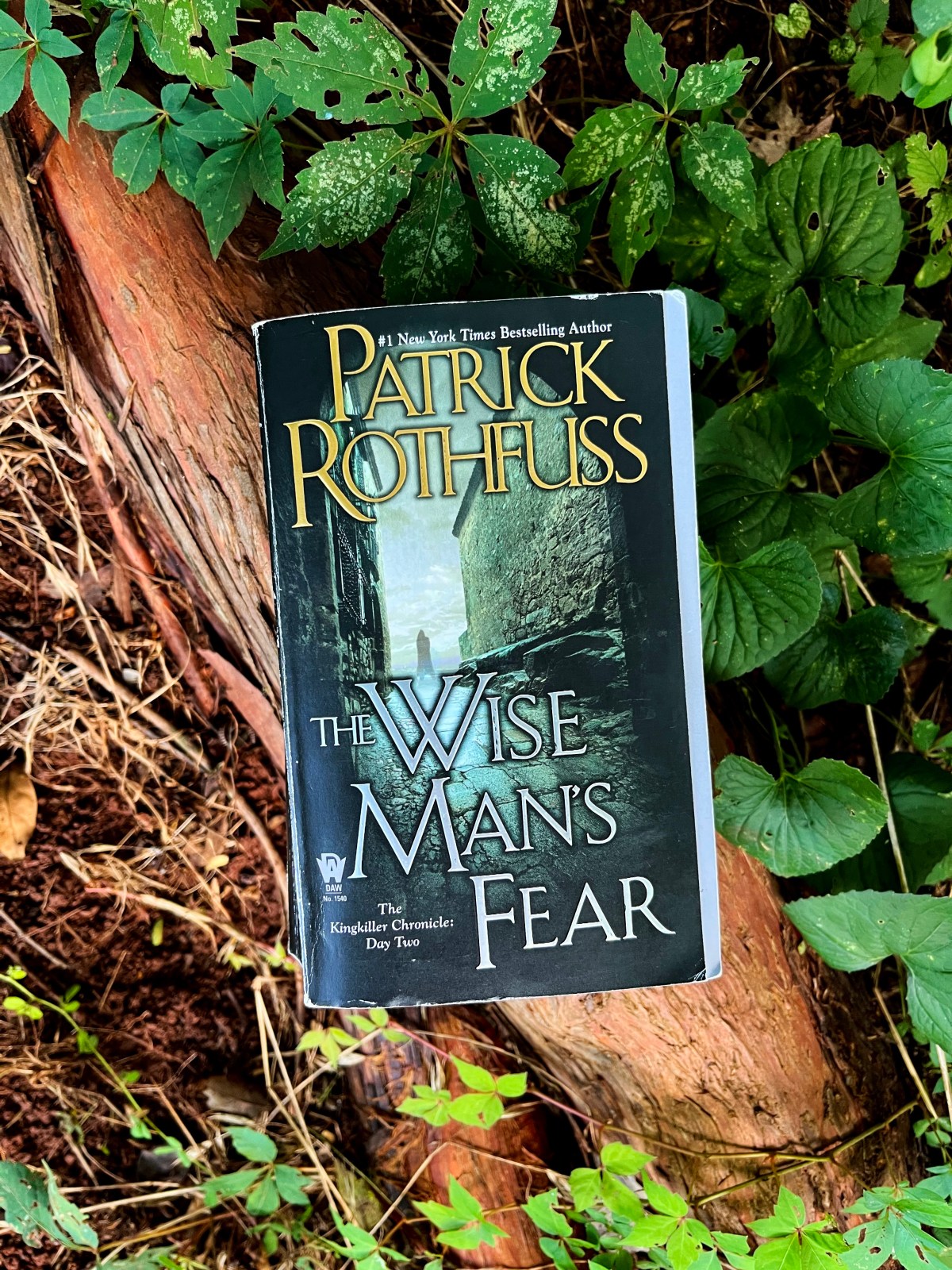 The Wise Man's Fear Review - Wildwood Reads
