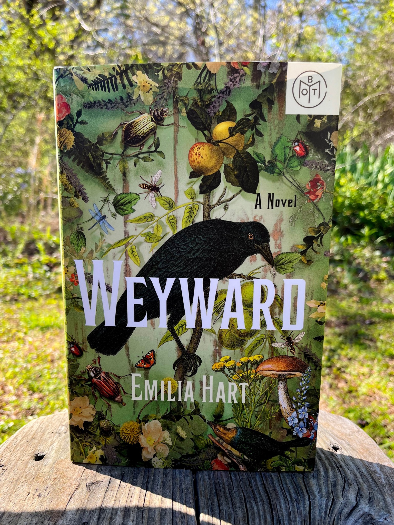 Weyward Review Wildwood Reads